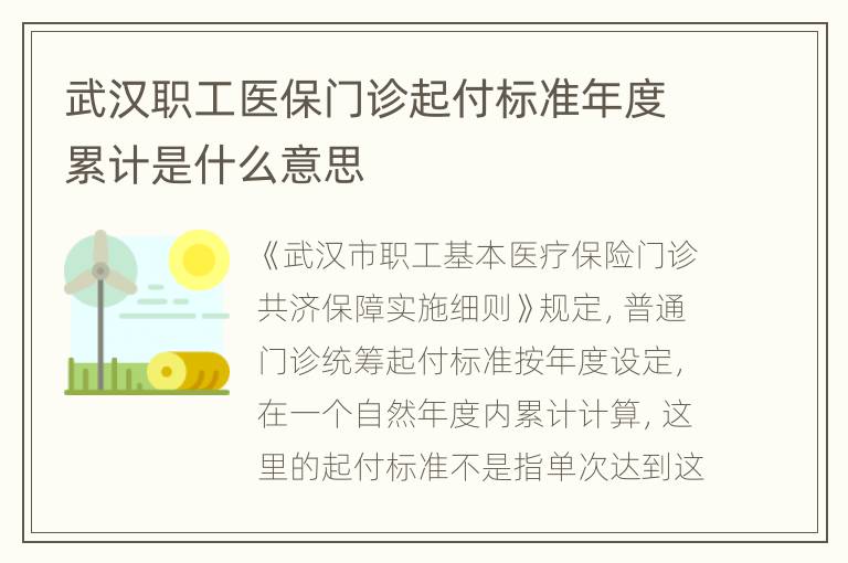 武汉职工医保门诊起付标准年度累计是什么意思