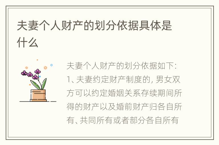 夫妻个人财产的划分依据具体是什么