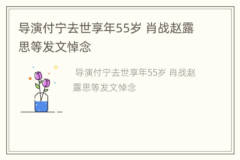 导演付宁去世享年55岁 肖战赵露思等发文悼念