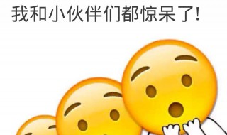如何制作表情包 自己制作表情包的方法