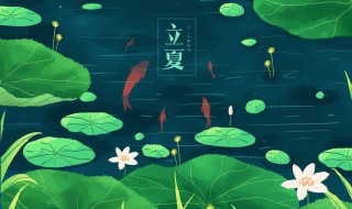 夏日文案 夏日文案精选
