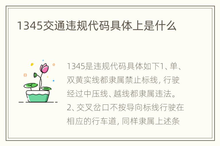 1345交通违规代码具体上是什么