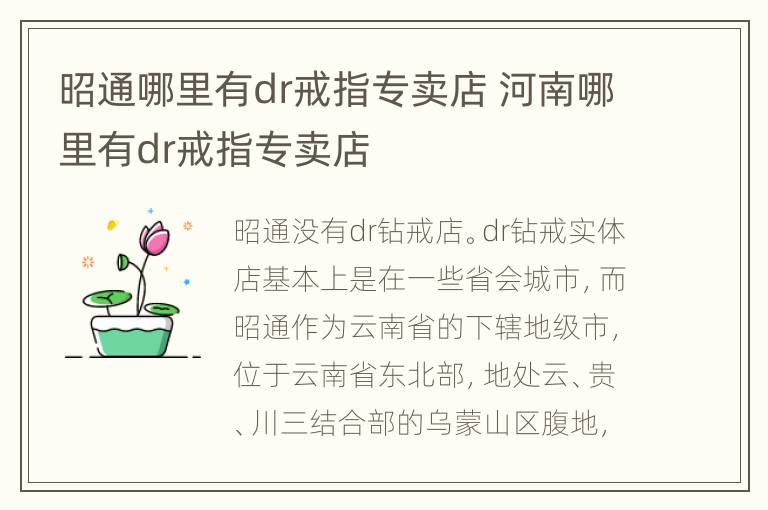 昭通哪里有dr戒指专卖店 河南哪里有dr戒指专卖店
