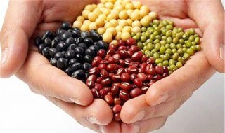 女性肾气虚多吃8种补肾气食物 女性肾气虚多吃什么食物
