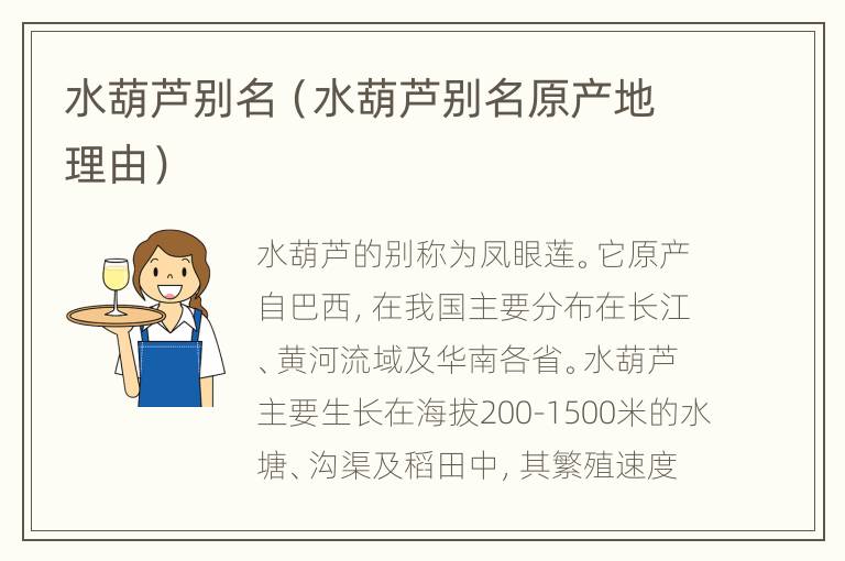 水葫芦别名（水葫芦别名原产地理由）