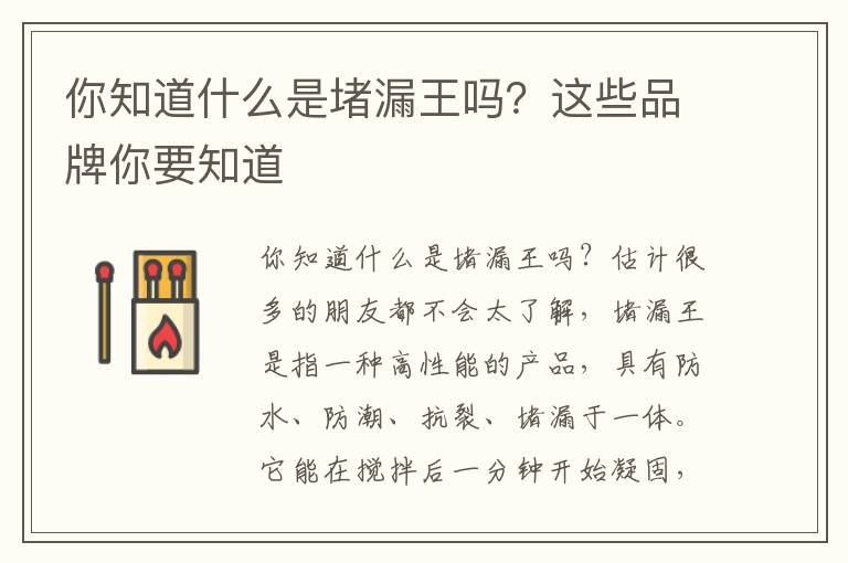 你知道什么是堵漏王吗？这些品牌你要知道