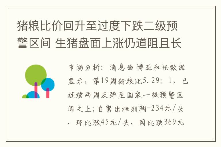 猪粮比价回升至过度下跌二级预警区间 生猪盘面上涨仍道阻且长