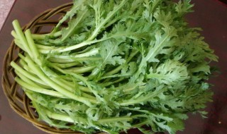 茼蒿菜苗水培方法 茼蒿菜种子需要催芽吗