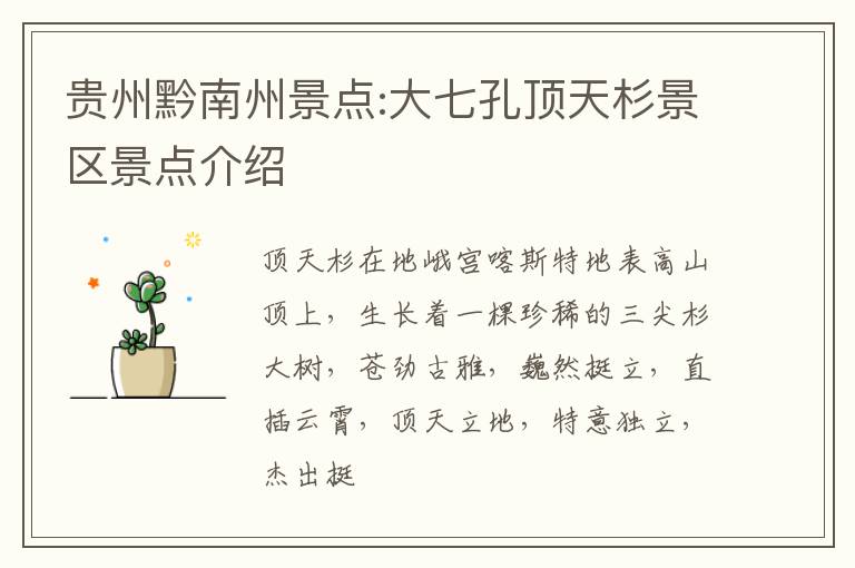 贵州黔南州景点:大七孔顶天杉景区景点介绍