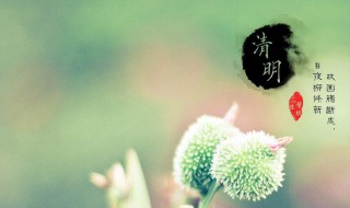 清明寄语大全 清明扫墓祭扫寄语