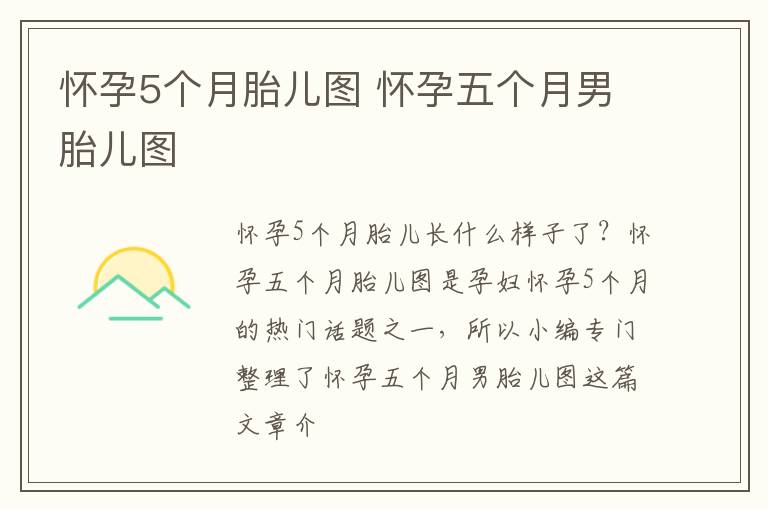 怀孕5个月胎儿图 怀孕五个月男胎儿图