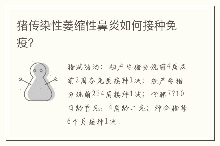 猪传染性萎缩性鼻炎如何接种免疫？
