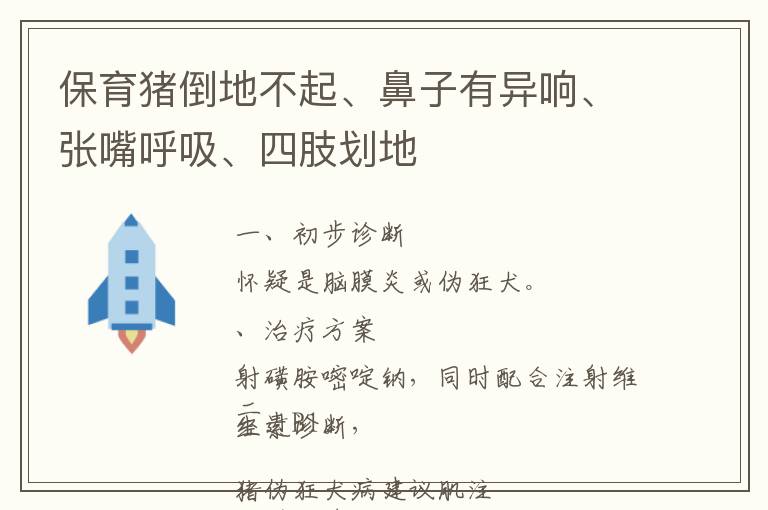 保育猪倒地不起、鼻子有异响、张嘴呼吸、四肢划地