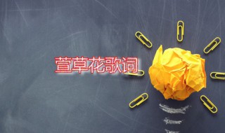 萱草花歌词 萱草花发行日期是什么时候