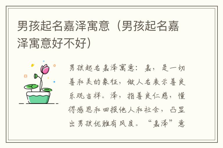 男孩起名嘉泽寓意（男孩起名嘉泽寓意好不好）