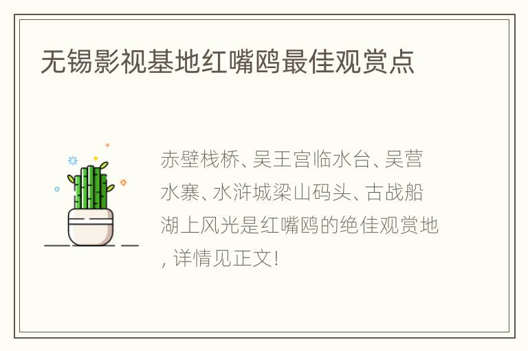 无锡影视基地红嘴鸥最佳观赏点