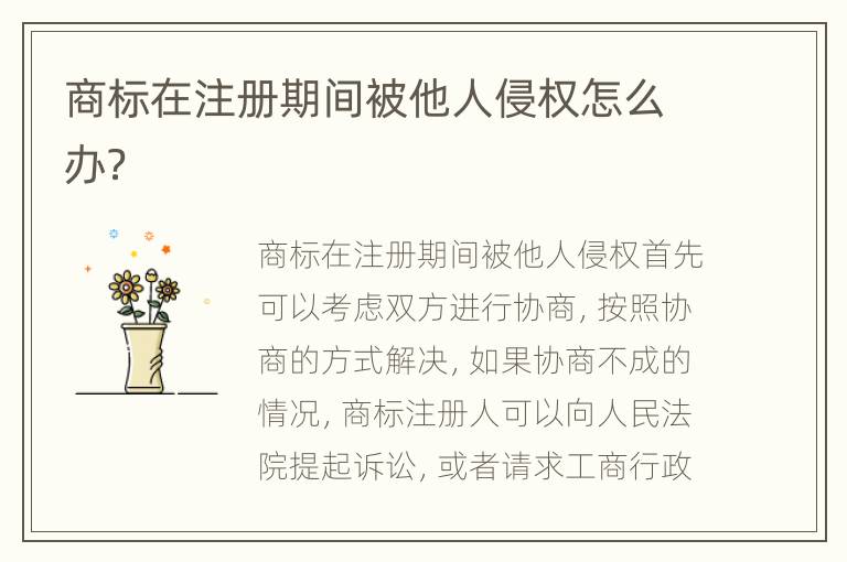 商标在注册期间被他人侵权怎么办？