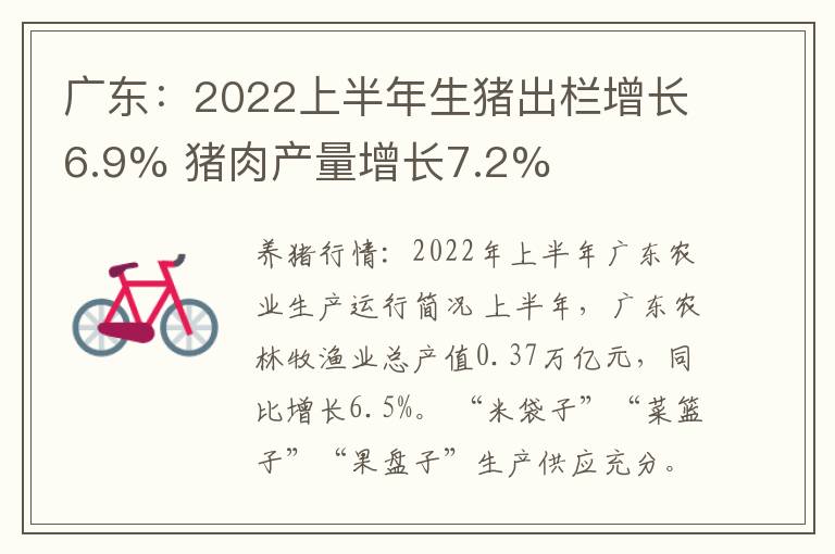 广东：2022上半年生猪出栏增长6.9% 猪肉产量增长7.2%