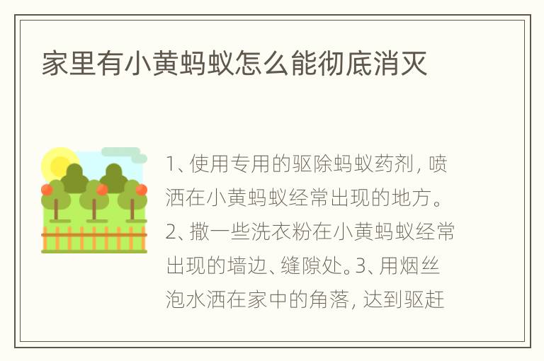 家里有小黄蚂蚁怎么能彻底消灭