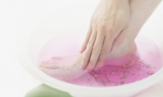 艾叶泡脚有什么功效与作用 盘点使用艾叶泡脚的好处