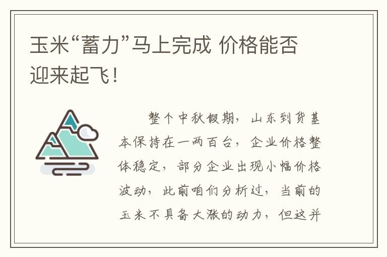 玉米“蓄力”马上完成 价格能否迎来起飞！