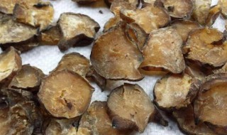 黑附子功效与作用用 黑附子有何功效与作用