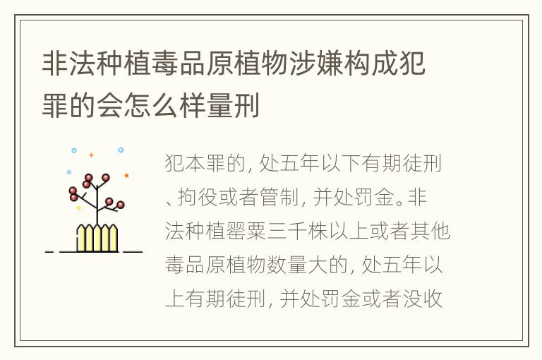 非法种植毒品原植物涉嫌构成犯罪的会怎么样量刑