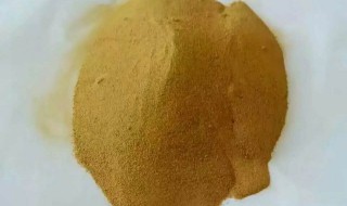 玉米干粉的功效与作用 玉米干粉有什么功效与作用
