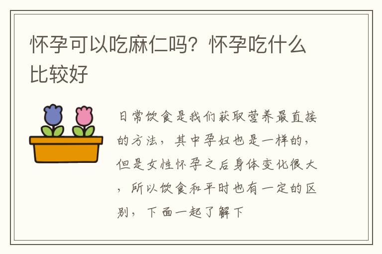 怀孕可以吃麻仁吗？怀孕吃什么比较好