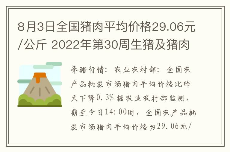 8月3日全国猪肉平均价格29.06元/公斤 2022年第30周生猪及猪肉价格