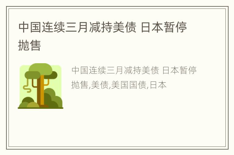 中国连续三月减持美债 日本暂停抛售