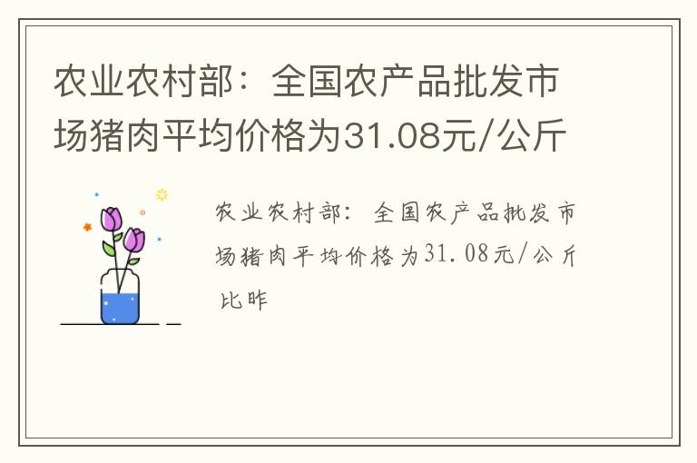 农业农村部：全国农产品批发市场猪肉平均价格为31.08元/公斤 比昨