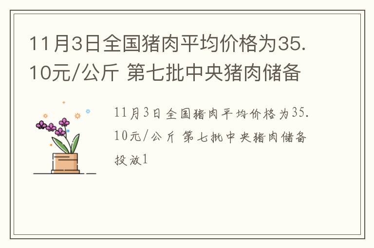 11月3日全国猪肉平均价格为35.10元/公斤 第七批中央猪肉储备投放1