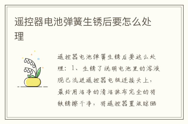 遥控器电池弹簧生锈后要怎么处理