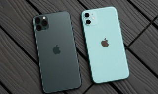 苹果手机有信号没网络怎么回事? 苹果手机有信号没网络怎么办