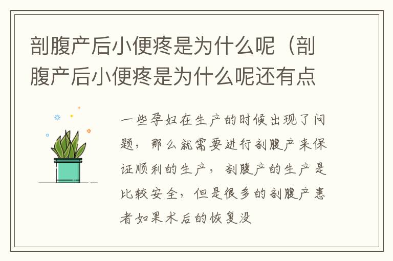 剖腹产后小便疼是为什么呢（剖腹产后小便疼是为什么呢还有点血）