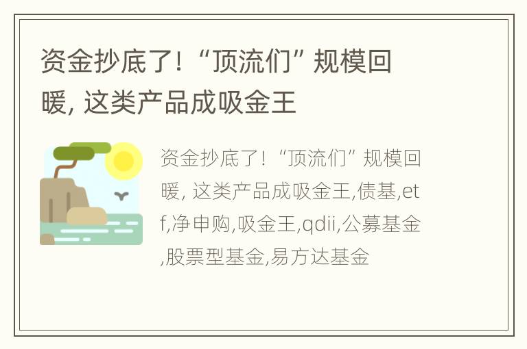 资金抄底了！“顶流们”规模回暖，这类产品成吸金王