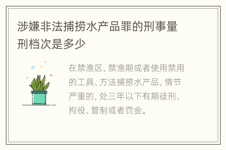 涉嫌非法捕捞水产品罪的刑事量刑档次是多少