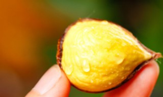 栗子表面有点白毛能吃吗 栗子长白毛了还能吃吗
