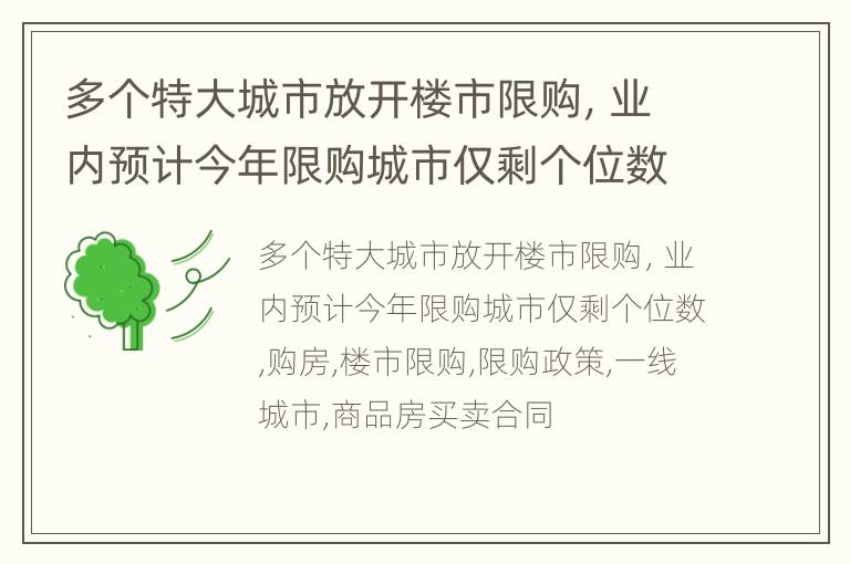 多个特大城市放开楼市限购，业内预计今年限购城市仅剩个位数