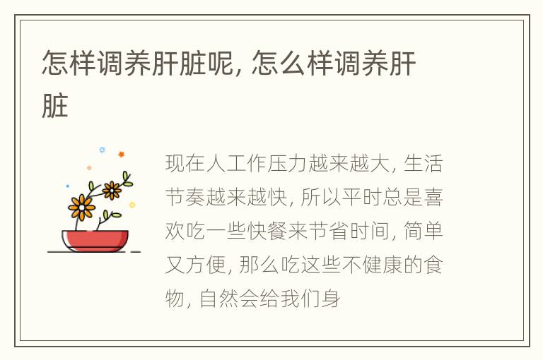 怎样调养肝脏呢，怎么样调养肝脏