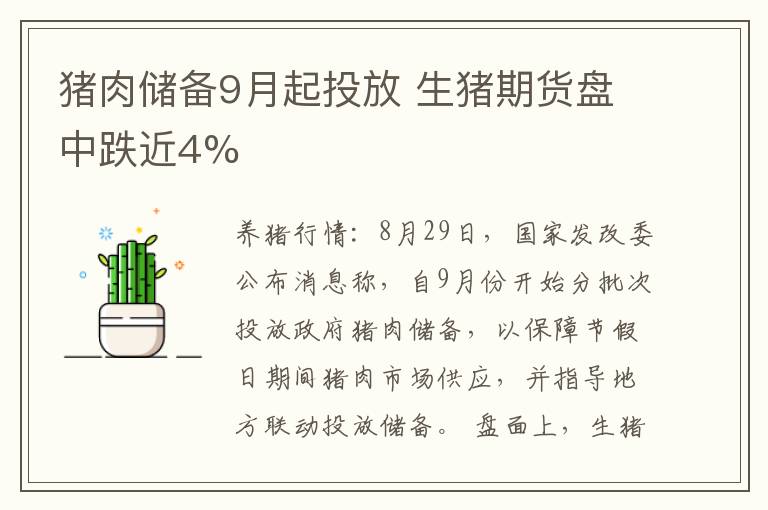 猪肉储备9月起投放 生猪期货盘中跌近4%