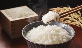 冷饭的保存方法 详解冷饭的保存方法
