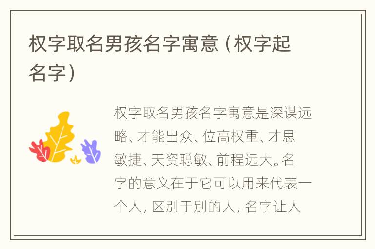 权字取名男孩名字寓意（权字起名字）