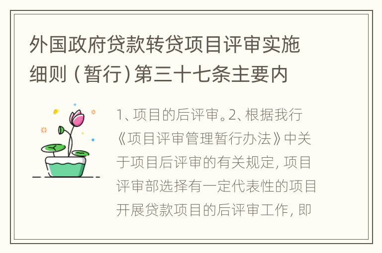外国政府贷款转贷项目评审实施细则（暂行）第三十七条主要内容有哪些