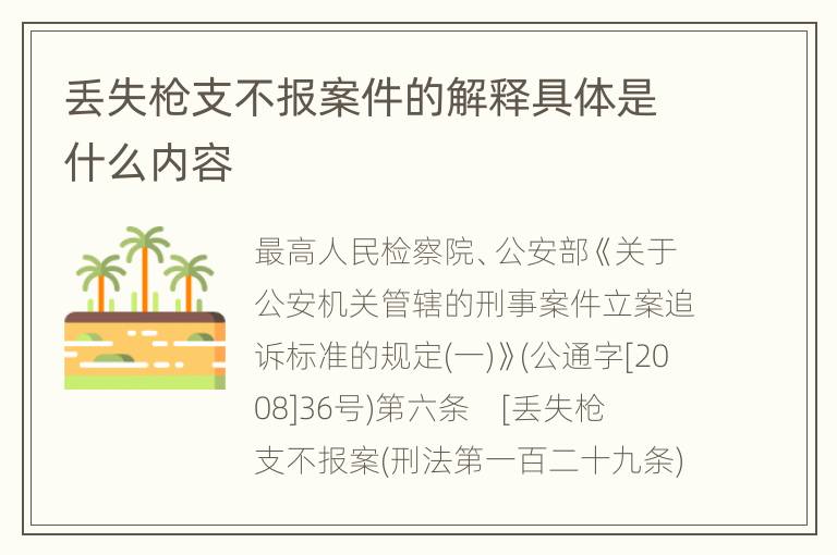 丢失枪支不报案件的解释具体是什么内容