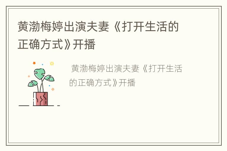 黄渤梅婷出演夫妻 《打开生活的正确方式》开播