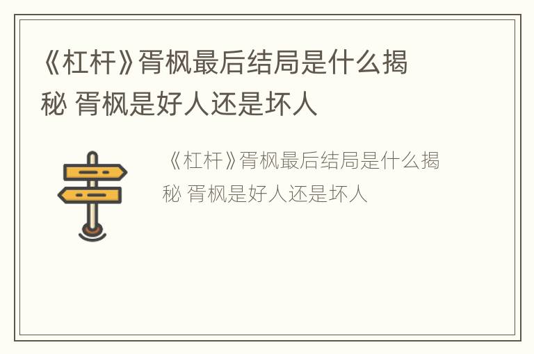 《杠杆》胥枫最后结局是什么揭秘 胥枫是好人还是坏人