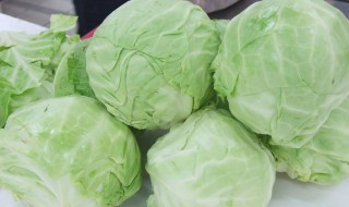 包菜粉丝煲做法步骤 怎么做包菜粉丝煲