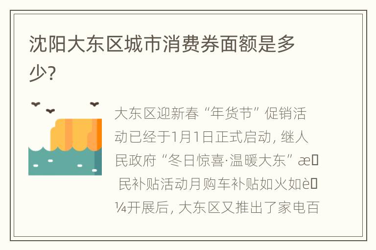 沈阳大东区城市消费券面额是多少？